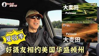 夜宿美國華盛頓州大麥田好攝友一起紮營哈啤酒【246】Palouse Washington