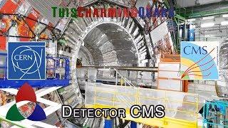 CERN: Detector CMS | This Charming Quark [S]