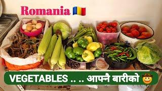 Prundu  || " VEGETABLES " आफ्नै बारीको  || Romania Agriculture work ️