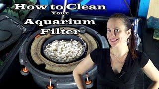 How to Clean your Aquarium Filter