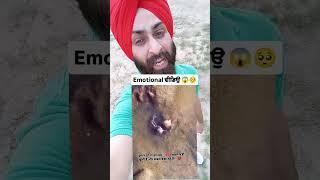 Emotional video  #trendingshorts #utubeshorts