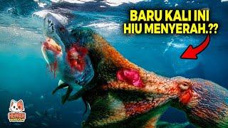 Penguasa Lautan Ketakutan Hadipi Monster ini! Momen Menegangkan Pertarungan Predator Bawah Laut