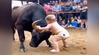 Crazy Funniest Videos Ever In The World | Try Not To Laugh Challenge | Laugh Till You Cry (Vol 17)