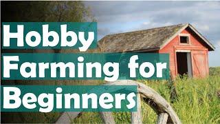 Hobby farming for beginners - advice I wish I knew when we started