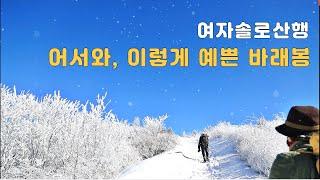 지리산 바래봉-팔랑치-산덕마을 원점회귀_ 정신 나간 여자의 겨울솔로산행