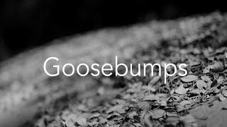 Ethnography 8 - Goosebumps