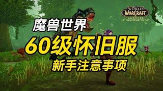 【老猫魔兽】魔兽世界60级怀旧服新手注意事项