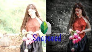 Snapseed best photo editing background colour change  the Tech 360