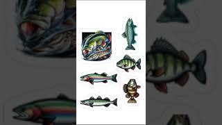 Sticker #decalstickers #accessories