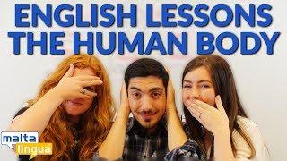 The Human Body - Free English Vocabulary Lesson A2-B1 (Pre-intermediate)