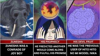 Facts You Should Know About JOY BOY - One Piece