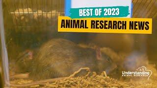 The Biggest Breakthroughs in Animal Research in 2023