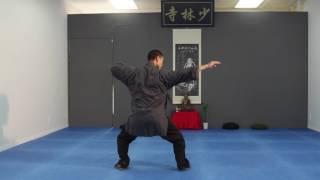 Shaolin Rou Quan 少林柔拳  - Part 02