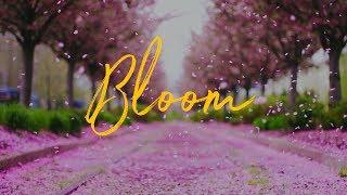 Philly in Bloom