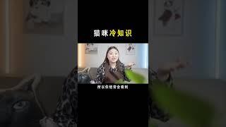 冷到发抖的猫咪冷知识，你知道多少？ #猫咪冷知识 #萌宠出道计划 猫奴十三