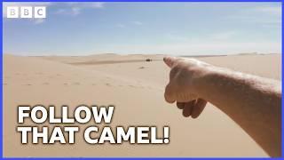 Gordon Loses the Camels | My Epic Camel Adventure with Gordon Buchanan