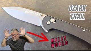 Ozark Trail WALLYWORLD 🫎 #knifereview #knifedisassembly #edcknife #ozarktrailknives #walmartknives