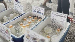 Raw milk craze is intensifying in South Florida despite warnings of potential danger