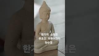 영인스님 1천만독 천수경 한가지 소원은 반드시 이루어진다 #염불 #독경 #buddha #healing #peace