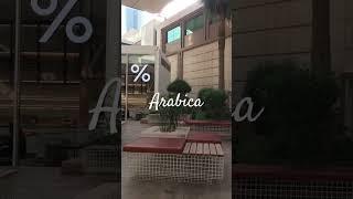 Arabica coffee shop kuwait                     #kuwait #arabica #coffee #marriott
