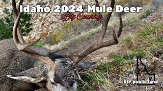 Idaho 2024 Mule Deer Hunt Public Land