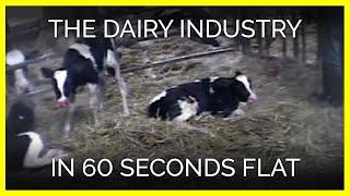 The Dairy Industry in 60 Seconds Flat