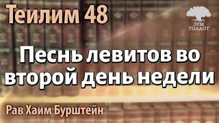Теилим, глава 48: Песнь левитов во второй день недели. Рав Хаим Бурштейн