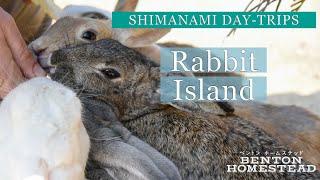 Rabbit Island + Poison Gas Museum » Shimanami Kaido Day-Trips » From Ōmishima, Imabari, Ehime, Japan