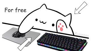 How To Get And Set Up Bongo Cat Cam V2! (Streamlabs, OBS)(Like Fission Gaming)