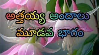 అత్తయ్య అందాలు-3 | Jeevitha Satyalu | This Is The Excellent Love Stories