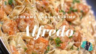 THE BEST HOMEMADE CREAMY SHRIMP ALFREDO RECIPE | QUICK & EASY WEEKNIGHT MEAL