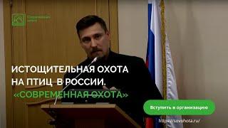 Конгресс орнитологов. Истощительная охота на птиц в России. Охота на водоплавающих птиц.