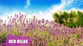 10 Hours of Relaxing Music - Sleep Music, Piano Music for Stress Relief, Sleeping Music (Mira)