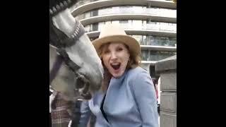 Caballo muerde una bubi a Jessica Chastain (remix)