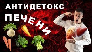 Чистая печень за неделю! 6 правил оздоровления и очистки печени питанием.