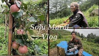 “Exploring Apple Farms in Solukhumbu | Meeting an 80-Year-Old Local Shaman | Rustic Charm”