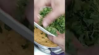 kothimbir Vadi #reels #shortvideo #viral #mumbai mahek kitchen