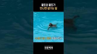 정신차리고 보면 물에 들어가 있음