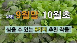 9월말 10월 초에 심을 수 있는 8가지 추천 작물! #9월말에 심는 작물 #10월초에 심는 작물 #10월 초에 심어서 월동하는 작물.