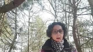 Denisa Havrlová číta  "Zuzankine motýle", Čítame z domu