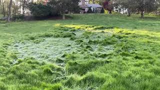 Frost pockets and microclimates