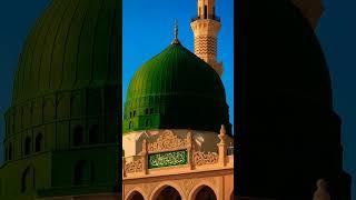 #8millionviews #viralvideo #reels #shorts #ytshorts #youtubeshorts #viralshorts #islamic #madina