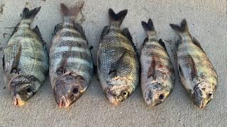 2 Hours Uncut Saltwater Fishing For Dinner (Catch, Clean and Cook)