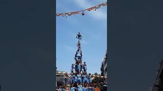 Dahi handi | mumbai  8 thar Janmashtami #shorts #trending #viral #janmashtami #2022 #govinda