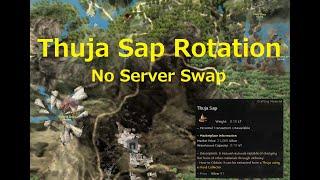 Black Desert Online - Thuja Sap Rotations (No Server Swaps)