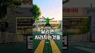 조금씩 매일 꾸준히 하루 1%의 기적 |2024 국제평화마라톤  #조매꾸러닝