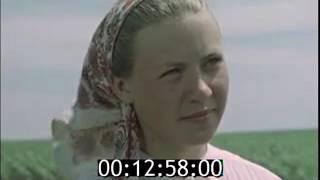 Так мы живем!  Колхоз "Россия" 1958г.