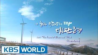 Korean Geographic | 코리언 지오그래픽 - Ep.1 : The Land of Snow and Wind Daegwallyeong (2014.12.15)