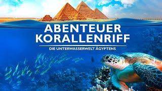 Coral Reef Adventure – The Underwater World of Egypt (DOCU with stunning images, German)