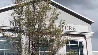The case for Nevada Studios